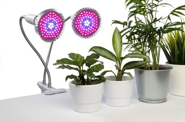 ЛАМПОЧКА ДЛЯ РОСТА РАСТЕНИЙ E27 75LED 30W