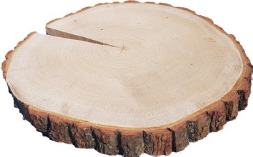 срезы древесины, срез сухого шлифованного дуба, 17-20 см.