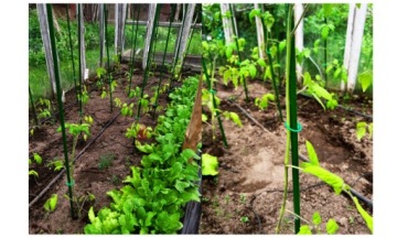 10X ПОДДЕРЖКА ДЛЯ ПОМИДОРОВ И ОГУРЦОВ ШТАБКА ДЛЯ РАСТЕНИЙ СТОЙКИ 180 СМ