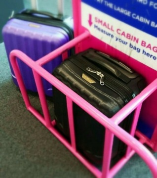Дорожная сумка Rovicky PLAIN LUGGAGE разноцветные листья