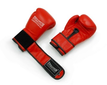 ПРОФЕССИОНАЛЬНЫЕ БОКСЕРСКИЕ ПЕРЧАТКИ EVOLUTION PRO 10