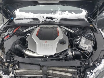 Audi A5 F5 2023 Audi RS5 Coupe 2.9l 2023 2.9 Benzyna 444KM, zdjęcie 6