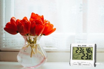 ЖК-ТЕРМОМЕТР МИНИ-МЕТЕОСТАНЦИЯ ПОГОДА-ГИГРОМЕТР БАТАРЕЯ МАГНИТНЫЙ НАБОР