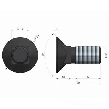Śruba płużna podsadzana M12x30 10.9 Waryński 10szt