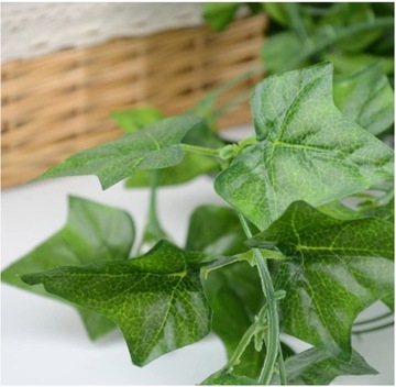 12-метровое искусственное растение плюща, подвешенное на стене x6