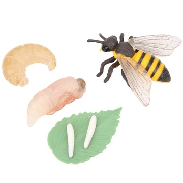 Модель насекомых, игрушечный цикл роста, модель пчелы