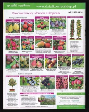 МОЙ САД 11/2017