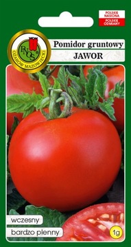 NASIONA POMIDOR GRUNTOWY JAWOR 1G PNOS