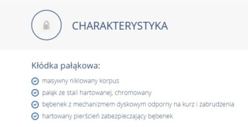 Замок навесной с усиленной дужкой GERDA SECURE S50