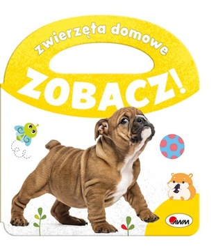 Zwierzęta domowe Zobacz! Książeczka dla malucha
