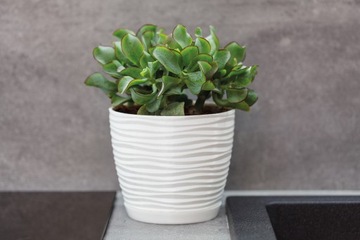 Цветочный горшок Sahara petit 23 с подставкой - 8 цветов