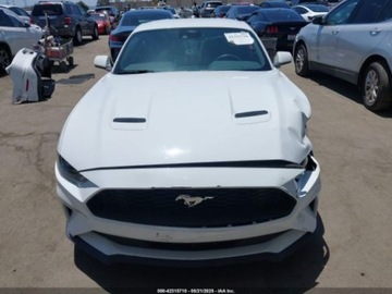 Ford Mustang VI 2021 Ford Mustang 2021 Ford Mustang EcoBoost Fastback 2.3 Benzyna 310KM, zdjęcie 11