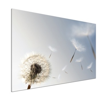 Panel dekor szkło Dmuchawiec 100x70 cm + KLEJ