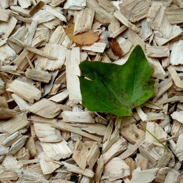 ИЗМЕЛЬЧИТЕЛЬ БЕНЗИНОВЫЙ ИЗМЕЛЬЧИТЕЛЬ MEYER R10SL LONCIN 6,5 HP | ДО 10 СМ