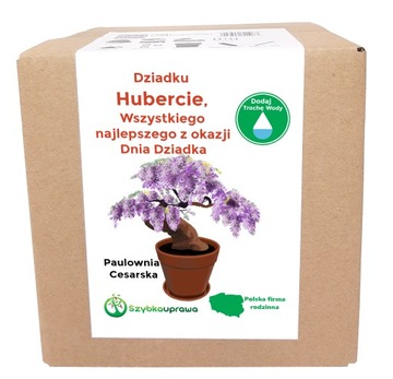 Zestaw BONSAI paulownia Dzień Dziadka Hubert