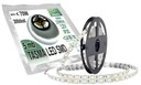 Лента СТРИП 300 LED 5050 SMD 5м ХОЛОДНО-БЕЛАЯ IP20