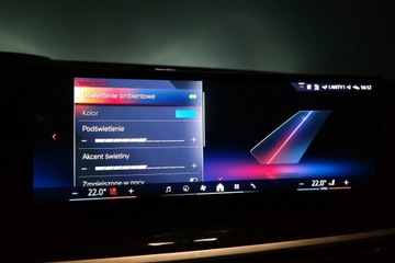 BMW X5 G05 SUV Facelifting 3.0 40i 381KM 2023 BMW X5 BMW X5 xDrive40i HAK Pneumatyka Fotele Went, zdjęcie 35