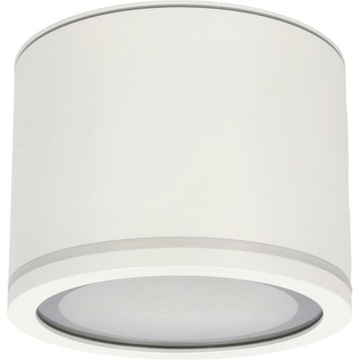 ГЕРМЕТИЧНЫЙ ТРУБНЫЙ ФИТИНГ ДЛЯ ПОВЕРХНОСТНОГО МОНТАЖА IP54 GX53 БЕЛЫЙ EDO