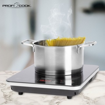 ЭЛЕКТРИЧЕСКАЯ ИНДУКЦИОННАЯ ПЛИТА С ОДНОЙ ГОРЕЛКОЙ PROFIC