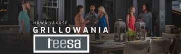 TEESA Газовый гриль BBQ 2000 - 2 конфорки