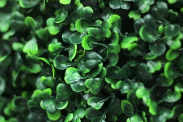 2X ШАР САМШИТА ИСКУССТВЕННЫЙ САМШИТ КАК ЖИВОЙ ЗЕЛЕНЫЙ ГОРШОК POWER ПЛОТНЫЙ 28 СМ