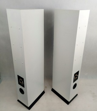 DLS R55 – громкоговорители