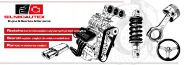 НАСОС-ФОРСУНКИ VW GOLF V A3 8P PASSAT B6 1.9 TDI BKC BLS 038130073AG КОМПЛЕКТ!