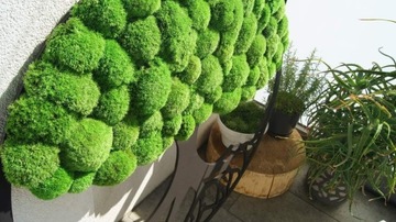 Подушка из мха 