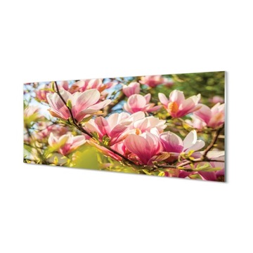 Zdjęcie obraz na szkle Różowa magnolia 125x50 cm