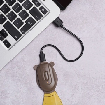 Лампа для чтения книжной кровати Walrus с USB-зажимом, 2 уровня освещенности