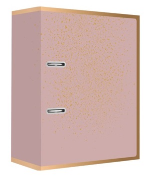 SEGREGATOR A4/75 SATIN GOLD SPARKLING INTERDRUK