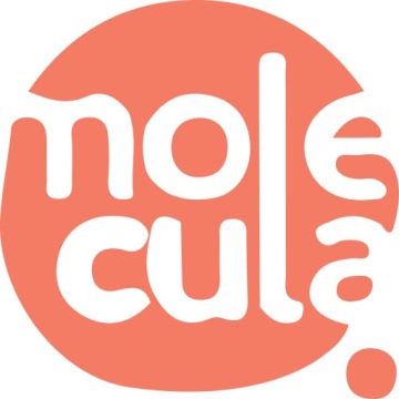 Molecula — СИРОП для бабл-ти, барный, 0,5 л — СОК-КОНЦЕНТРАТ — ВИШНЯ