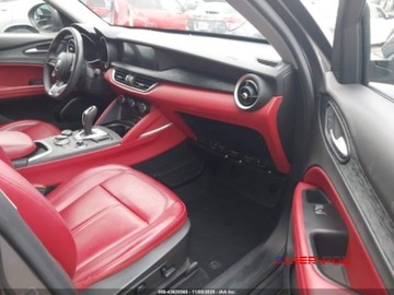 Alfa Romeo Stelvio 2020 Alfa Romeo Stelvio 2020 r., 2,0L RWD 2.0 Benzyna 280KM, zdjęcie 8