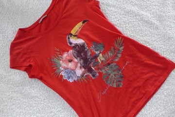 ORSAY KOSZULKA T-SHIRT PAPUGA XS