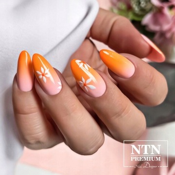 Zestaw do ściągania hybryd NTN Aceton Cleaner 1L