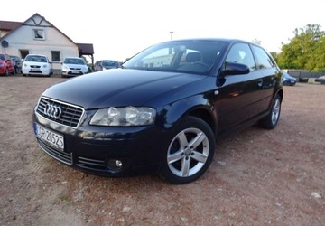 Audi A3 8P Hatchback 3d 2.0 TDI PD 140KM 2003