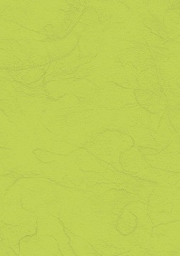 PAPIER RYŻOWY LIMONKOWY 52 arkusz A4 do decoupage