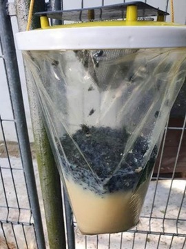 FLY BAG TRAP ловушка для мух с мешком ХИТ!!