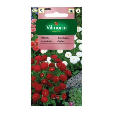 STOKROTKA POMPONOWA mieszanka 0.1g VILMORIN