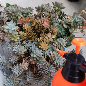 2L/3L Air Compression Pump Watering Bottle