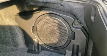 Ford Mustang VI Fastback 2023 5.0 Ti-VCT Black Horse 453KM 2026 Ford Mustang 2026 Mustang 453KM 5,0 Dark Horse V8 madneride 5.0 Benzyna, zdjęcie 31