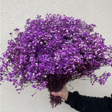 Стабилизированный гипс, засушенный фиолетовый букет.