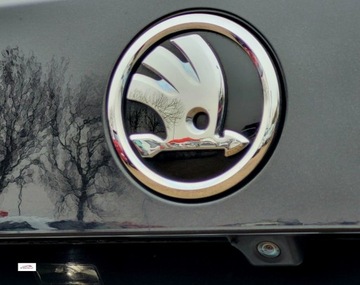 Skoda Kodiaq I SUV 2.0 TDI 190KM 2019 Skoda Kodiaq Virtual cockpit,Ambiente,7 osobBardzo ladna,super opcja, GWAR, zdjęcie 23