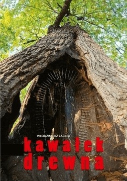 Kawałek drewna - Włodzimierz Zaczek