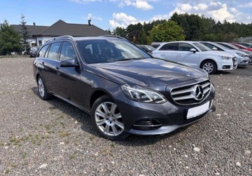 Mercedes Klasa E W212 Kombi Facelifting 250 CDI 204KM 2013 Mercedes-Benz Klasa E 2.2D 205KM 4x4 xenon led zadbany zarejestrowany 2.1, zdjęcie 15