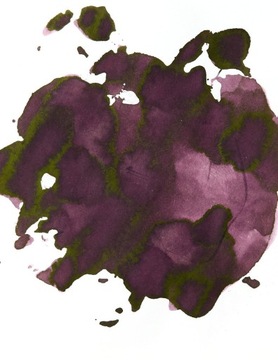 Pilot ink Pilot Namiki Iroshizuku Syun-Gyo 50 мл