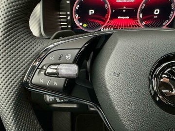 Skoda Kodiaq I RS Facelifting 2.0 TSI 245KM 2024 Skoda Kodiaq 2.0TSI 245KM 4X4 DSG RS l Nowy, 7-oso, zdjęcie 10