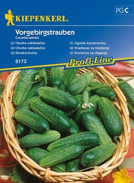 Kiepenkerl nasiona Ogórek Vorgebirgstrauben