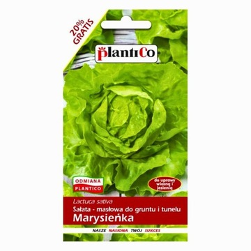 Sałata gruntowa masłowa Marysieńka 1 + 0,2g
