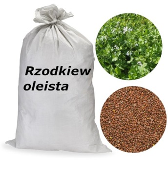 RZODKIEW OLEISTA NA POPLON materiał paszowy NASIONA poplonowa 25kg
